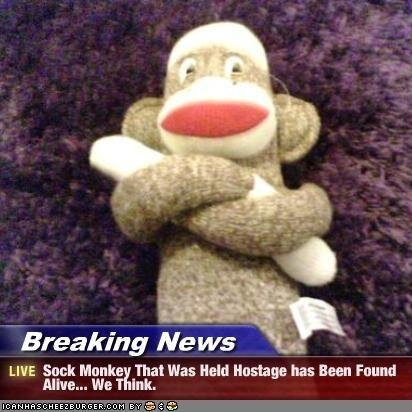 StoleYourMonkey's profile picture. 