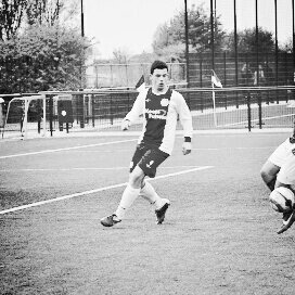 #IJsselmeervogels