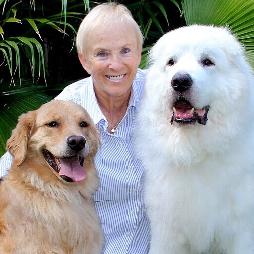 Everyone is searching for their own personal form of sanctuary in this world. Sanibel Island has been mine for over three decades and I can help it become yours