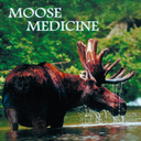 Robyn Bridges - @AuthorRBridges - Twitter