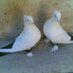 نوافووووه (@nawaf7716) Twitter profile photo نوافووووه (@nawaf7716) Twitter profile photo