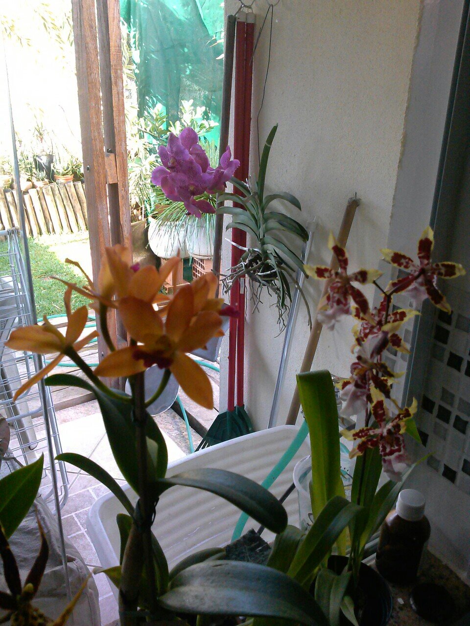 krum78's profile picture. 