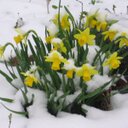 Connie Witt - @ConnieLou49 - Twitter