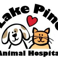 Lake Pine Animal (@lakepineanimal) 's Twitter Profile