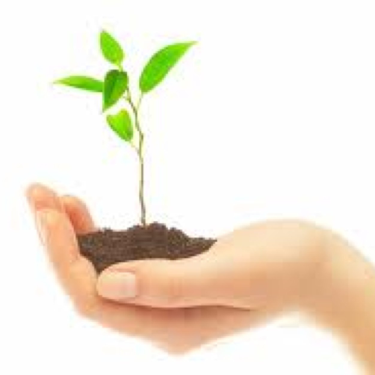 kcooney's profile picture. 