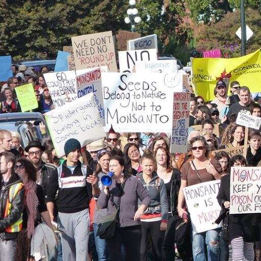 riseupnfight's profile picture. Everyday we fail to fight, less is left to fight for. Don't wait till it comes down to life or death on this planet. Fight now for the good life we still have!