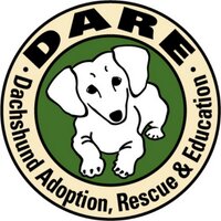DARE (@daretorescue) 's Twitter Profile