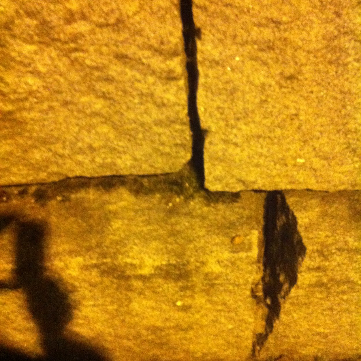 drejbra2's profile picture. 