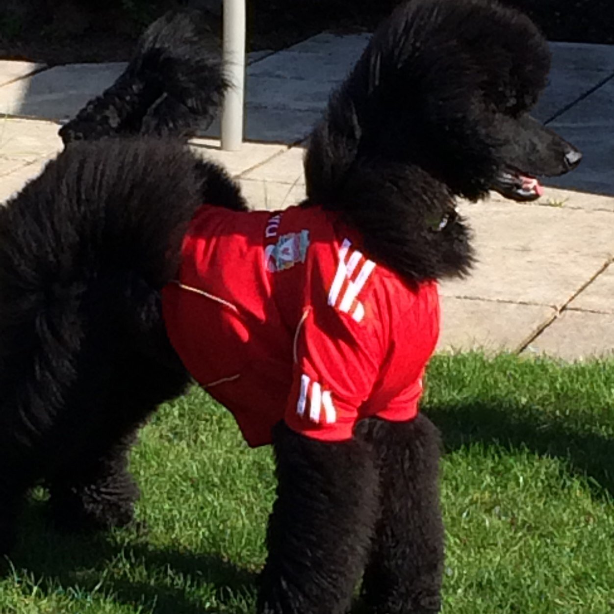 Denisea2000's profile picture. 