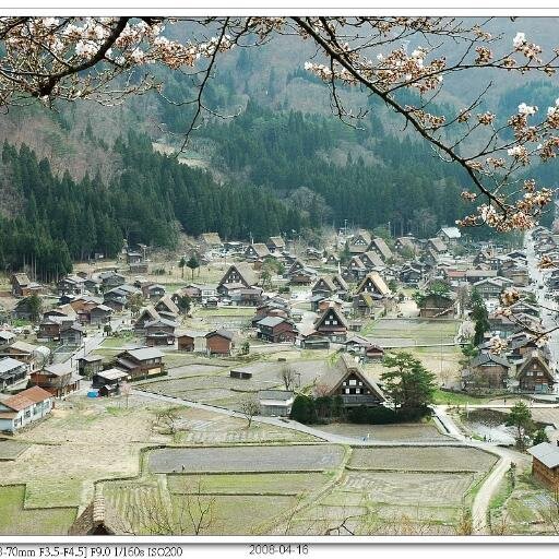 boylogop's profile picture. 