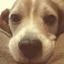 Justin Winner - @justinmwinner - Twitter