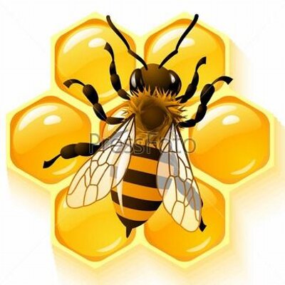 Бджілка (@bdzhillka) | Twitter