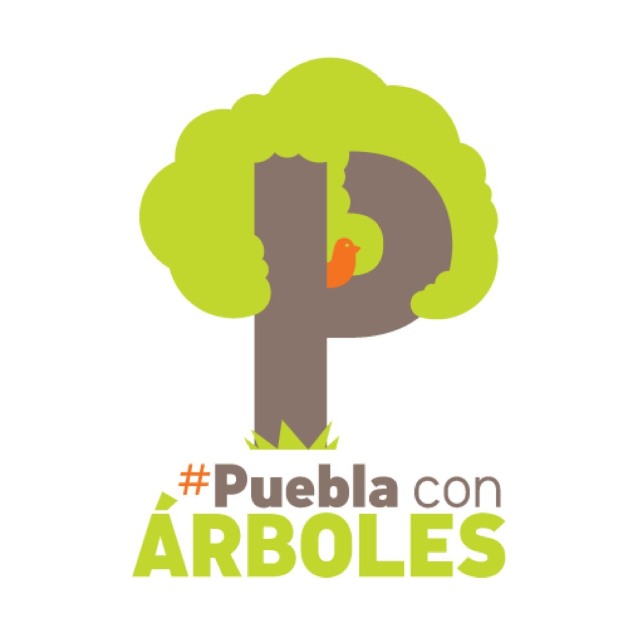 Cuenta oficial de #PueblaConÁrboles