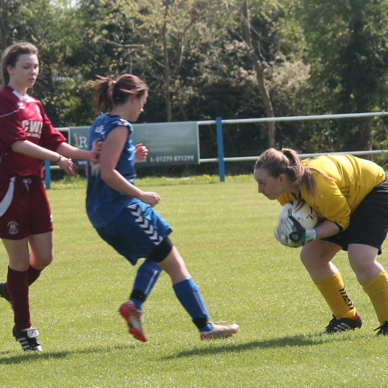 Takeley women fc was established in 2011 and play in the essex womens football league