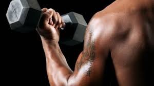 GymTweetss's profile picture. The early Bird Gets The Worm