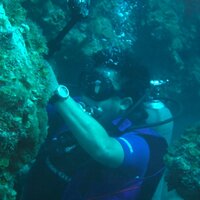 echeverria francisco (@echevepaco) 's Twitter Profile