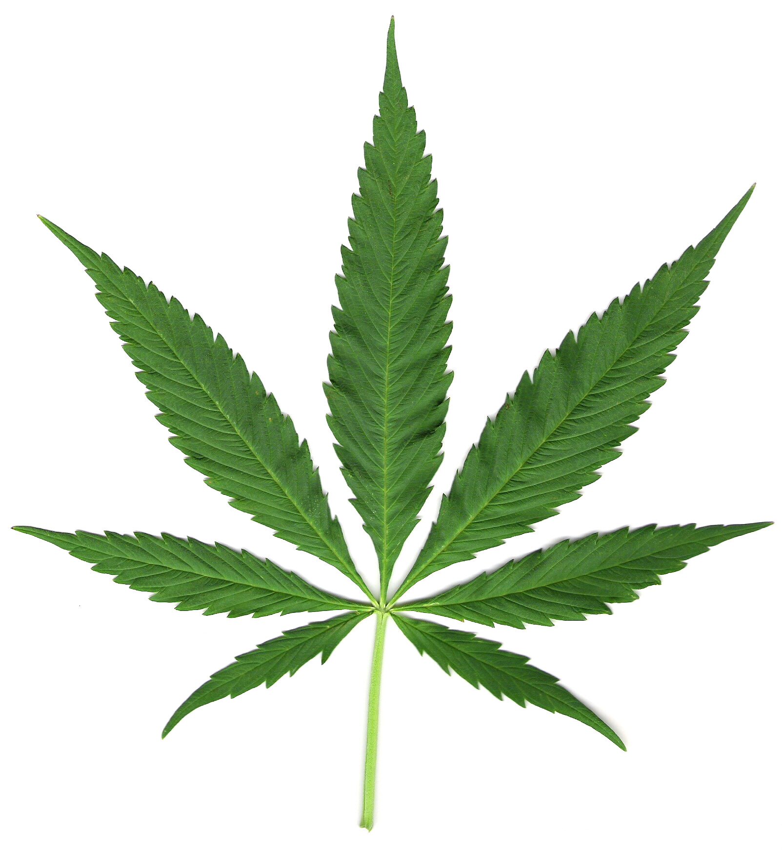 Single mother of 4. 20 years old. My kids are my life.
