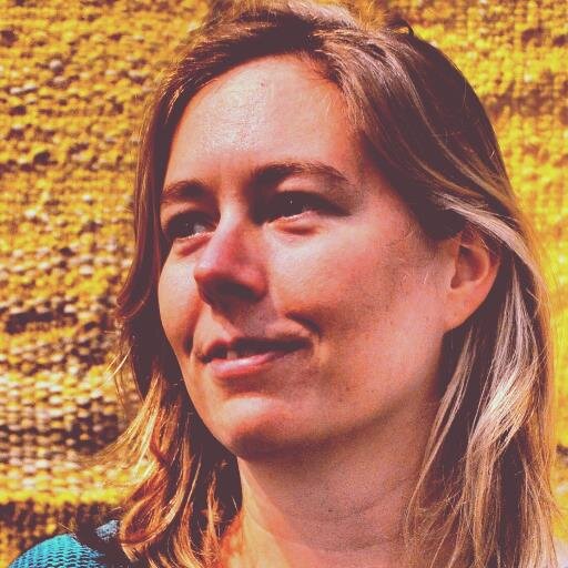 begeleider bij Acato, docent Media,  Maatschappijleer, maker onderwijsdocumentaire 'Valt er hier nog wat te leren?' onderwijs-schrijver, meetup010