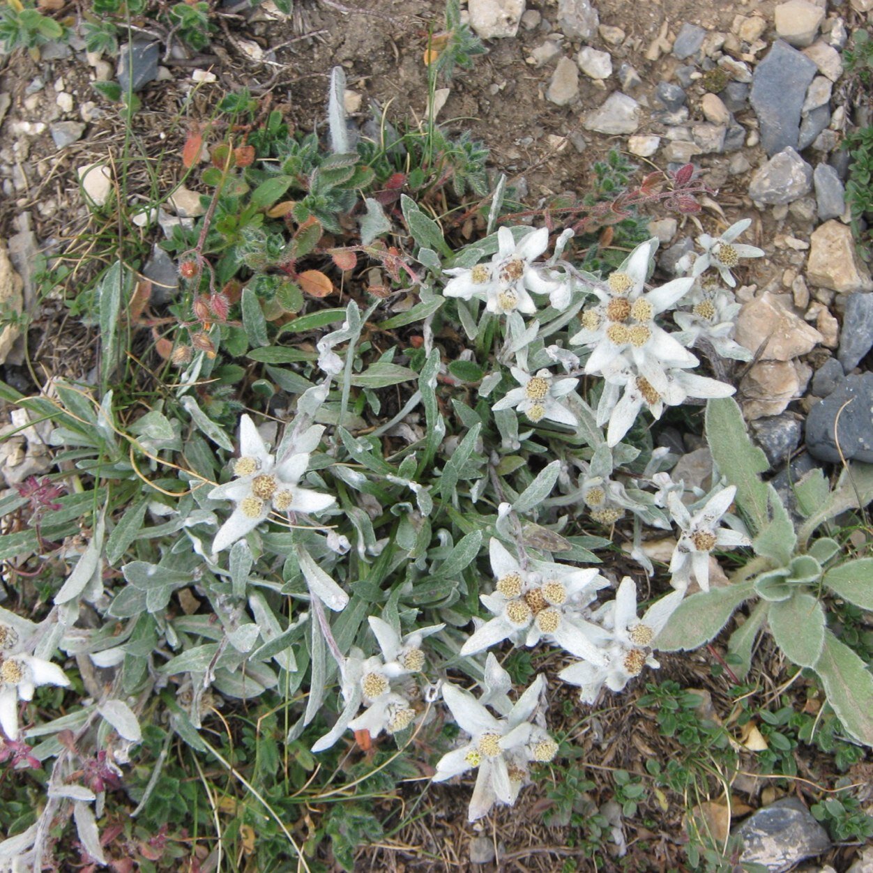 bgr1969's profile picture. 