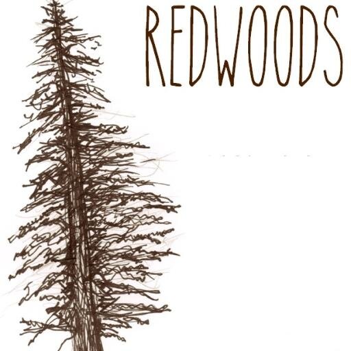 Indie Rock and Folk rock radio show on KCSF radio. We play new and classic hits that you love!