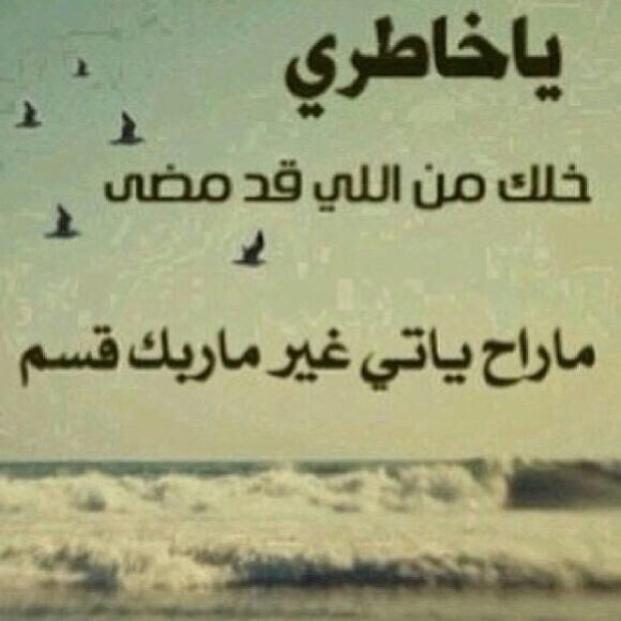 ال❤️كويت الحبيبة