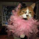 Jackie Bateman - @jackieebateman - Twitter