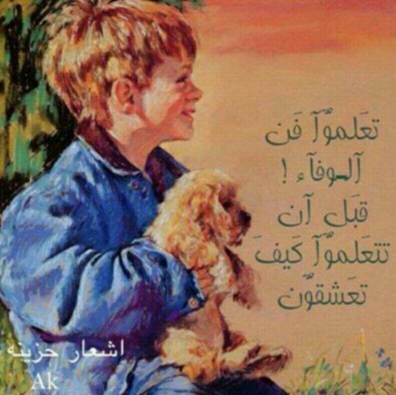 my snap/ m.a8868