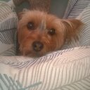 David Crump - @PreacherBA - Twitter