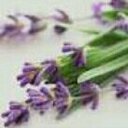لافندر (@0123Lavender012) Twitter