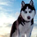 Zane Moore - @ZManMoore03 - Twitter