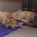 John Basile - @jr9_john - Twitter