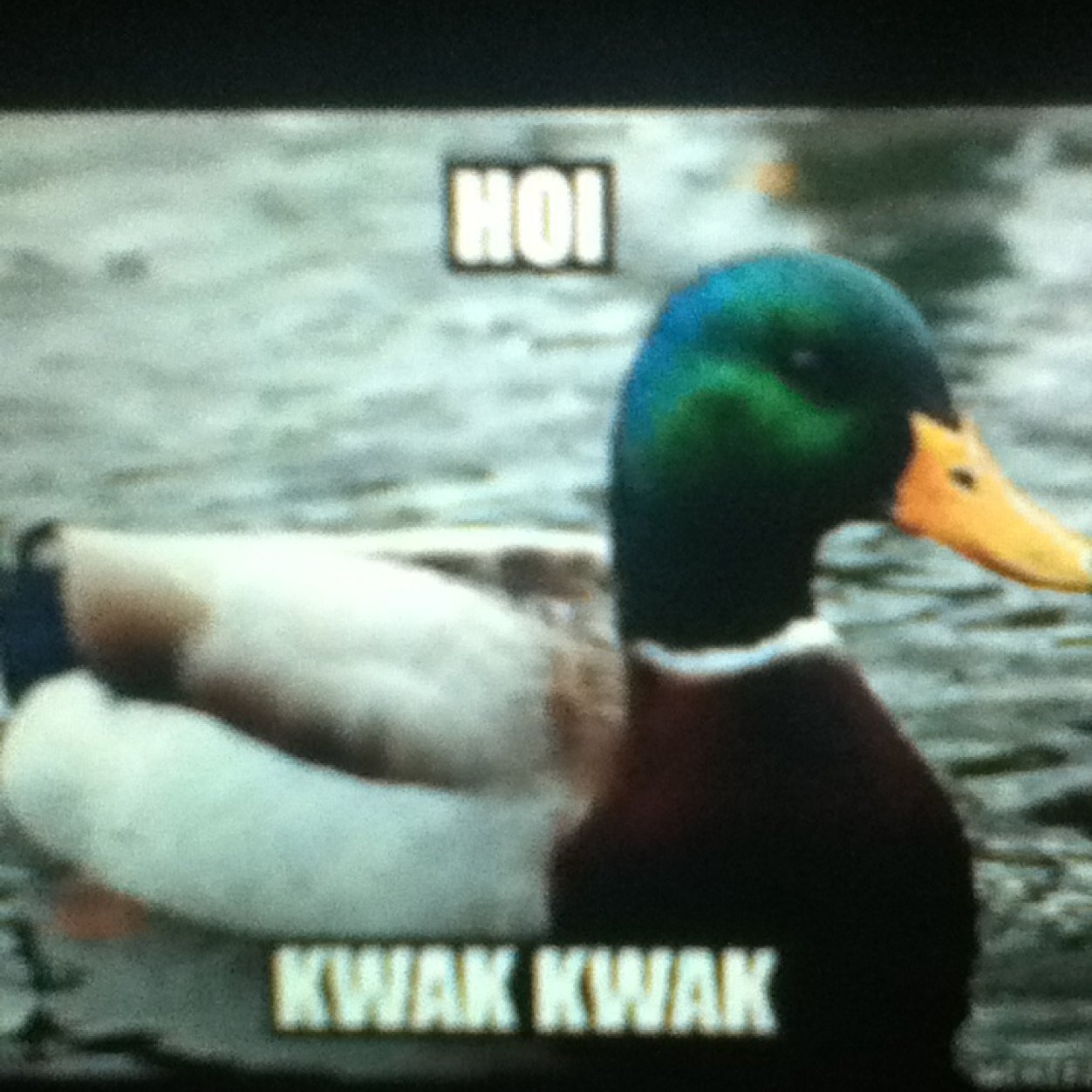 DutchGirlWch's profile picture. I am a girl of 16 years old. Love . Never give up