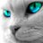 CristobalSoLo's profile image