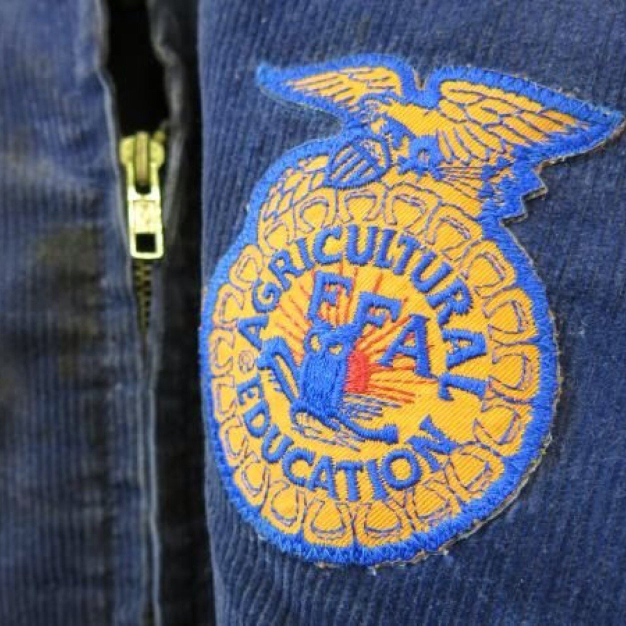 FFA is my passion. Blue jeans and square toes are my obsession. The Red, White, and Blue is my pride.