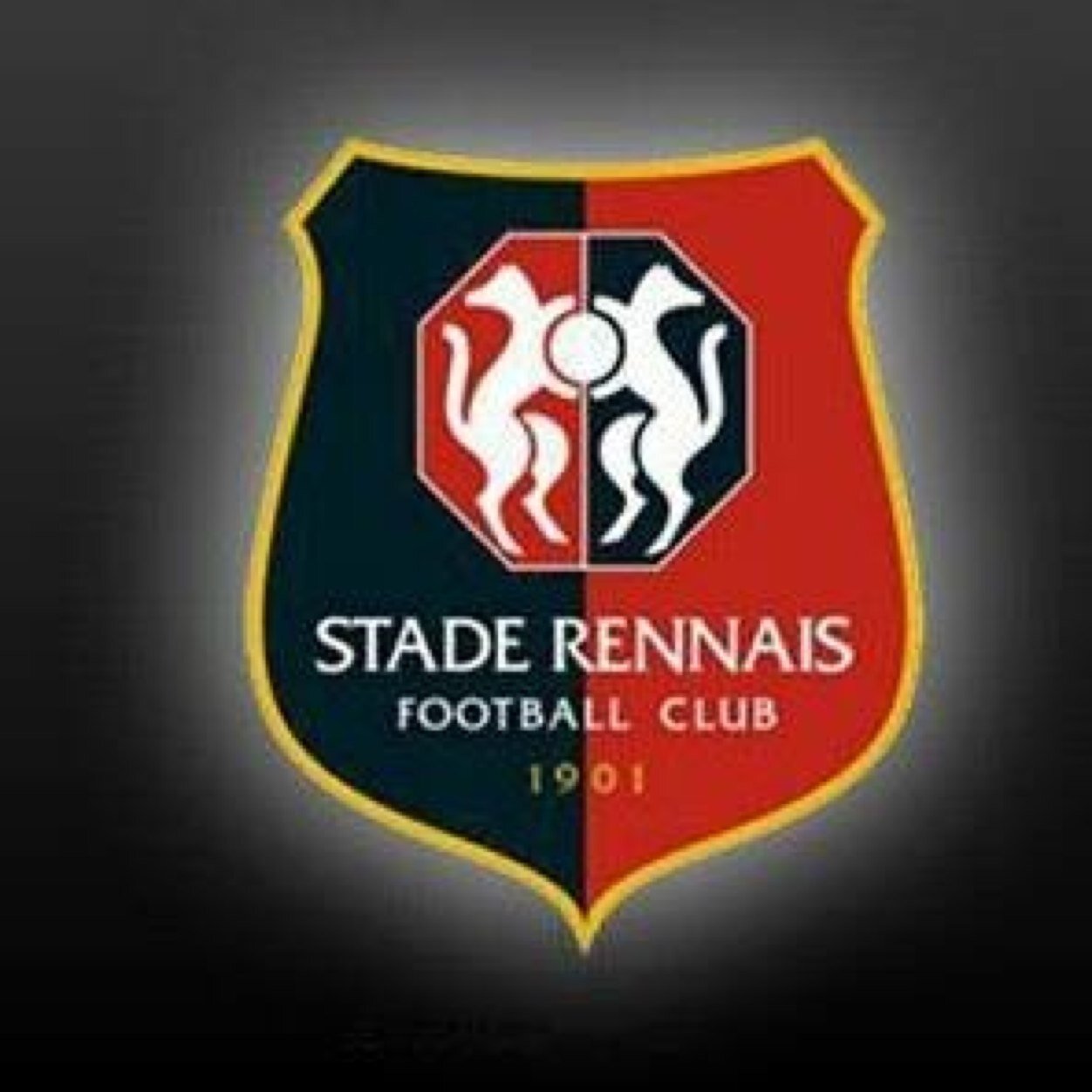 supportrice du stade rennais aime aussi les moto etc ⚽️⚽️⚓️⚓️