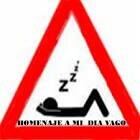 Cumplo la Ley del Vago a rajatabla. Del sofá a la cama y de la cama al sofá, esa es mi vida, envidiable. Si te consideras vago siguenos