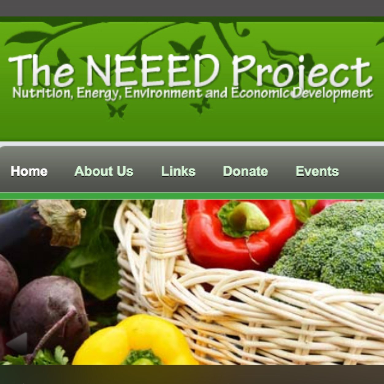 TheNEEEDproject's profile picture. We are a charitable and educational organization growing vegetables using Biochar, for donation to senior centers and food banks in mid-Missouri