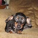 Lora Jensen - @chaos41 - Twitter