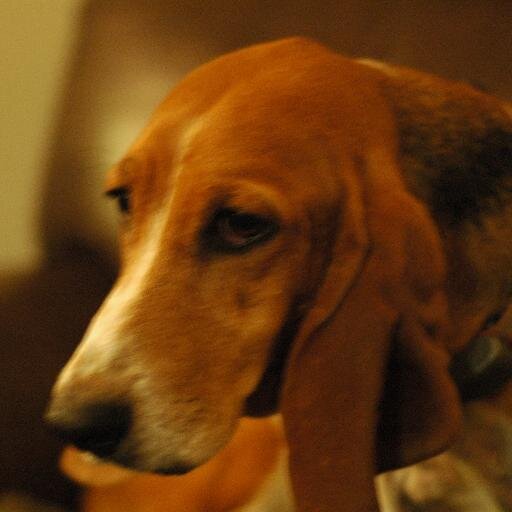 wendymlangley's profile picture. 