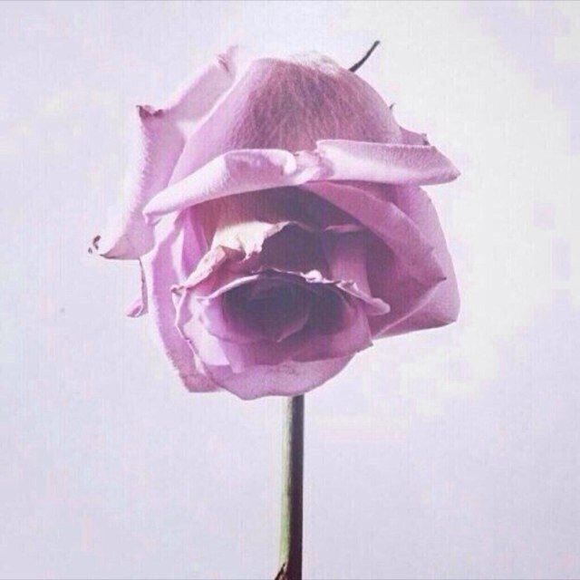 سبحان الله و بحمده عدد خلقه ورضا نفسه وزنة عرشه ومداد كلماته.