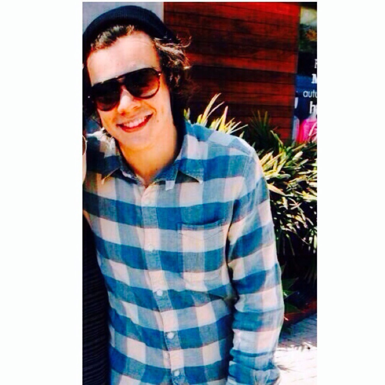 amazinlyharry's profile picture. free follow so follow @harryftsmendes