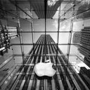 Daniel Thomas Corey - @DanielThomasCor - Twitter