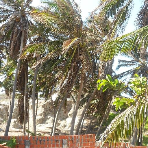 julia30_Ana's profile picture. 