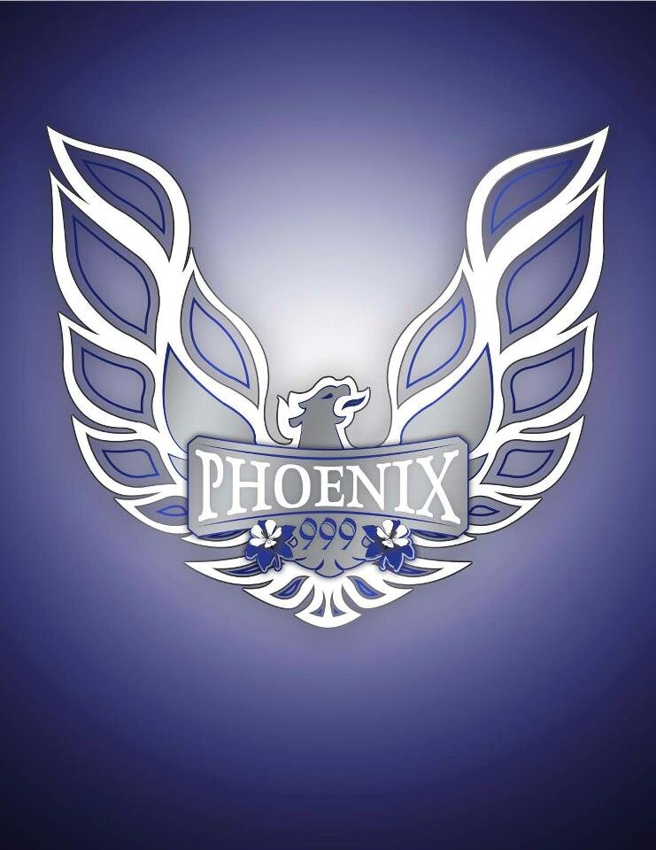 Phoenix 999 is a nonprofit organization dedicated to supporting victims of mass violence and those who suffer from Post-Traumatic Stress Disorder.