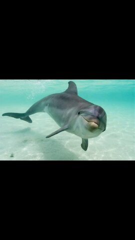 TheMrFailedhack's profile picture. 