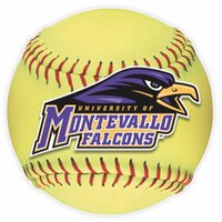 MontevalloSB (@montevallosb) 's Twitter Profile