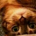 George Joiner - @02nismoguy - Twitter