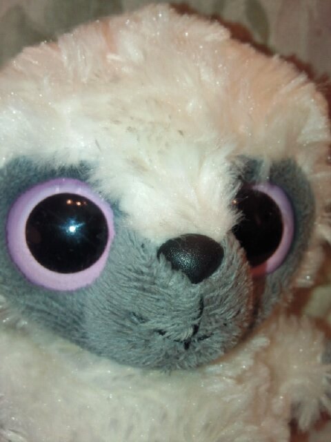 Well, I'm a small little furry bush baby and I adore huge boobs. What more could you want from life? Siggy x