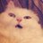sam_youngbert's profile image