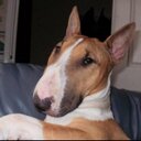 Stuart burgess - @Stuart1680 - Twitter